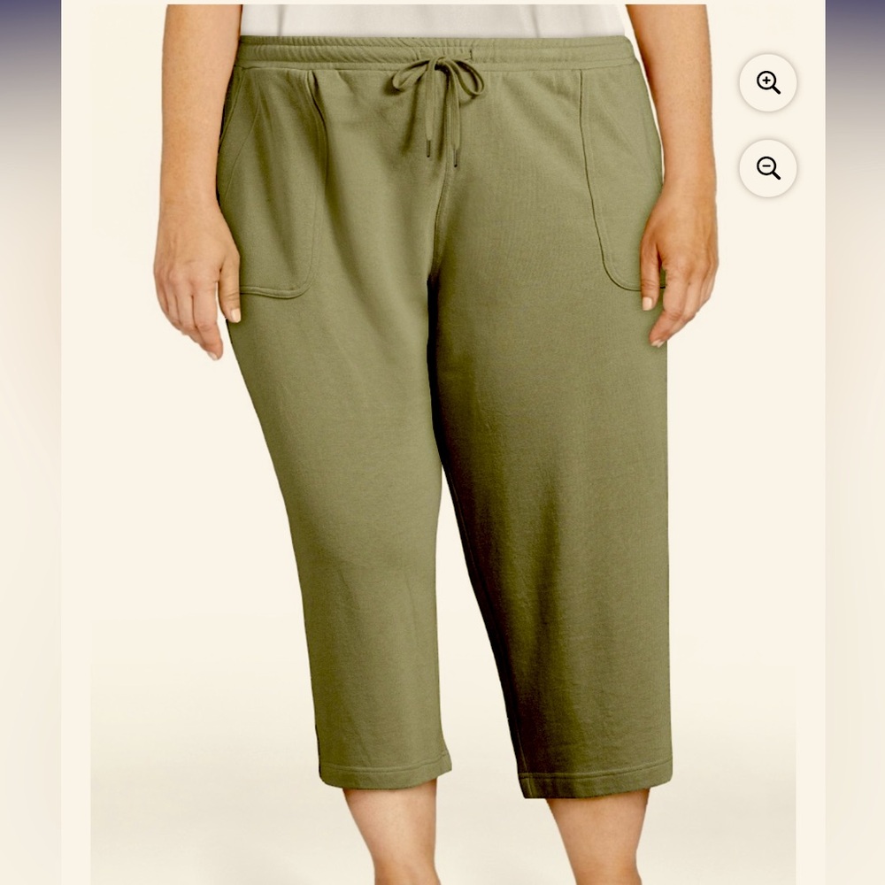 NWT Terra & Sky Pull on Capri pants size 1x